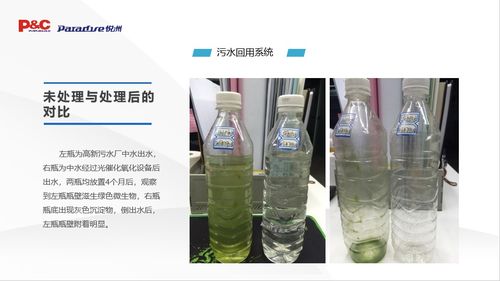 綠色引擎，守護未來 西安紫云環保科技集團的創新實踐與使命