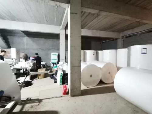 衛生紙加工廠的環保挑戰與綠色科技轉型之路