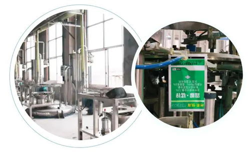 智能驅動，水務革新 重慶樹榮長壽區無人化新工廠正式投產